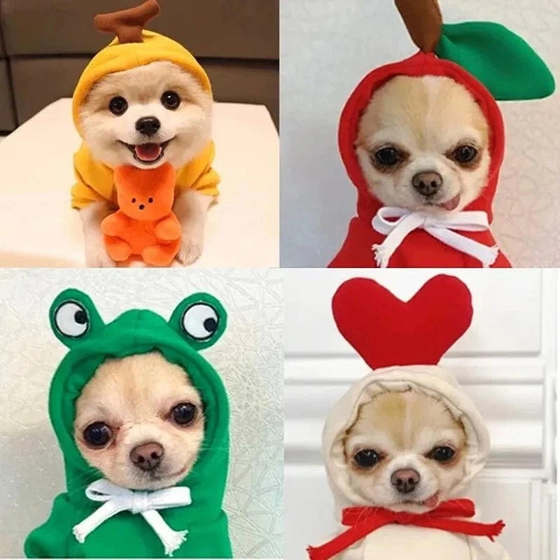 Froggiewarm: Pull Capuche Grenouille Pour Chiens ๐ธ๐ถ - One PETS-TOP