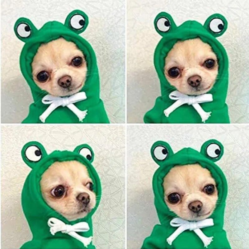 Froggiewarm: Pull Capuche Grenouille Pour Chiens ๐ธ๐ถ - One PETS-TOP