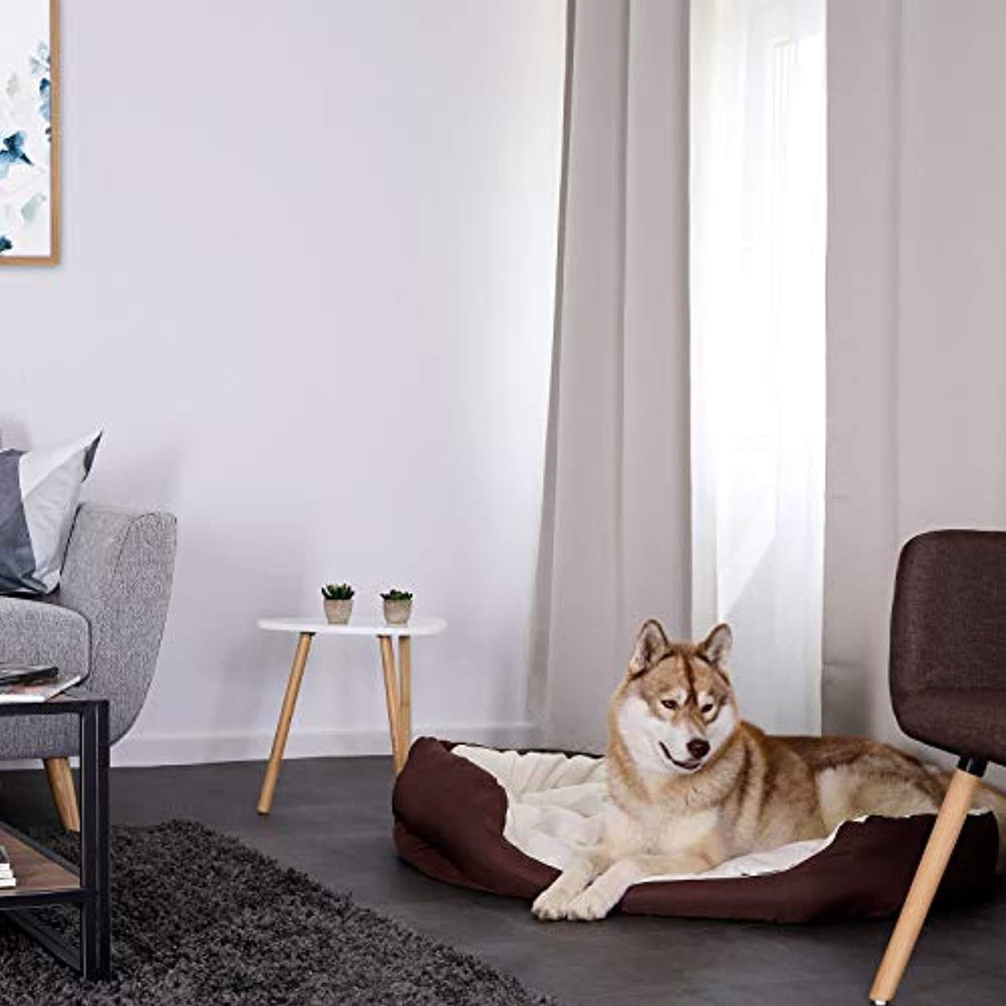 Lit/Canapé Lavable Avec Coussin Réversible Pour Chien - Marron/Beige Différentes Tailles - One PETS-TOP