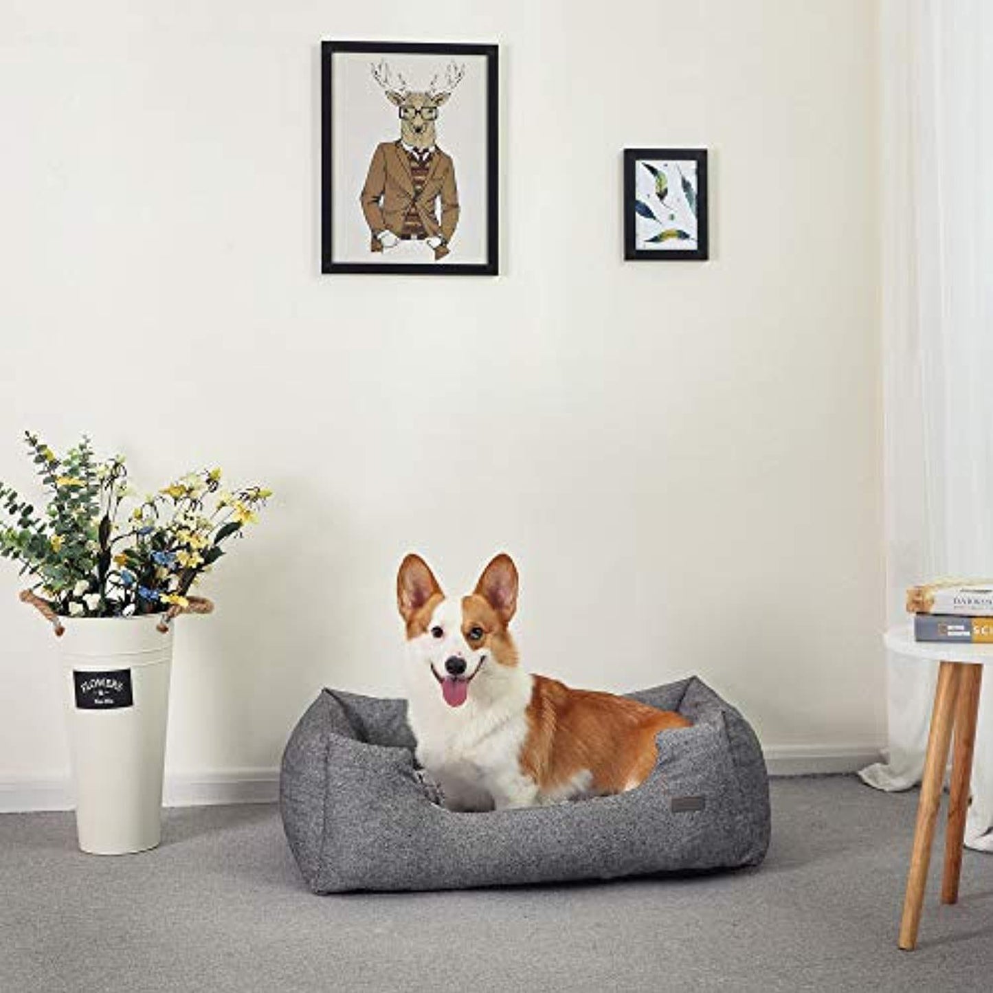 Panier Pour Chien, Lit Pour Chien, Taille M 80 X 60 X 26 Cm, Canapé, Matelas, Avec Coussin Rembourré - One PETS-TOP
