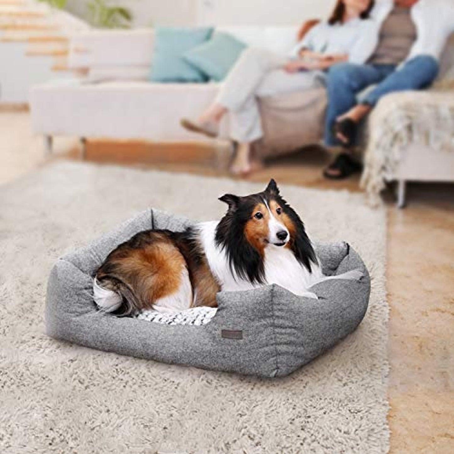 Panier Pour Chien, Lit Pour Chien, Taille M 80 X 60 X 26 Cm, Canapé, Matelas, Avec Coussin Rembourré - One PETS-TOP