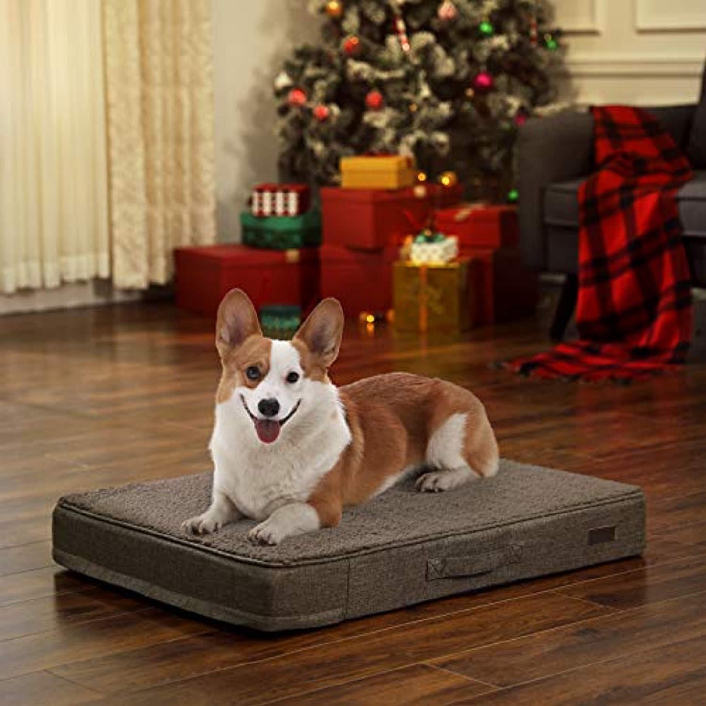 Panier Pour Chien, Matelas Pour Chien Orthopédique, 80 X 60 Cm - One PETS-TOP