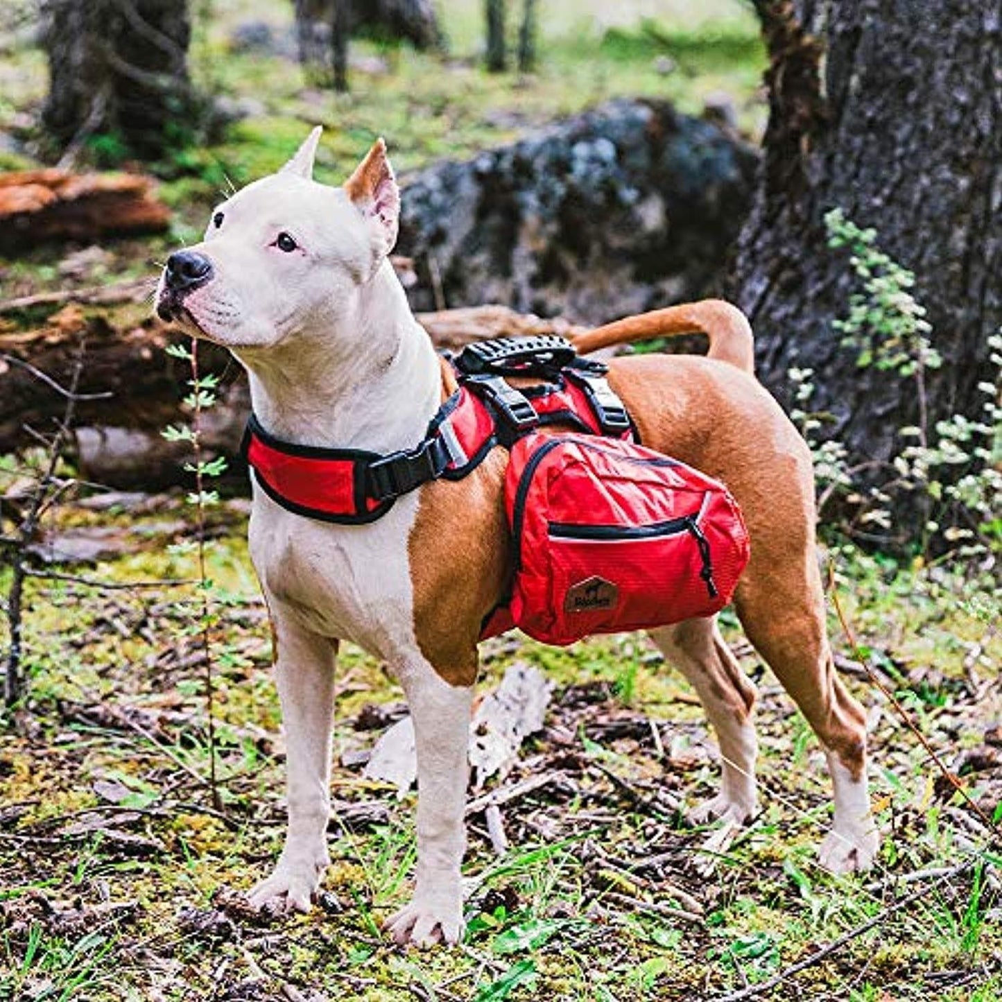 Sac À Dos Réglable Pour Chien Avec Sacoches, Idéal Pour La Randonnée - One PETS-TOP