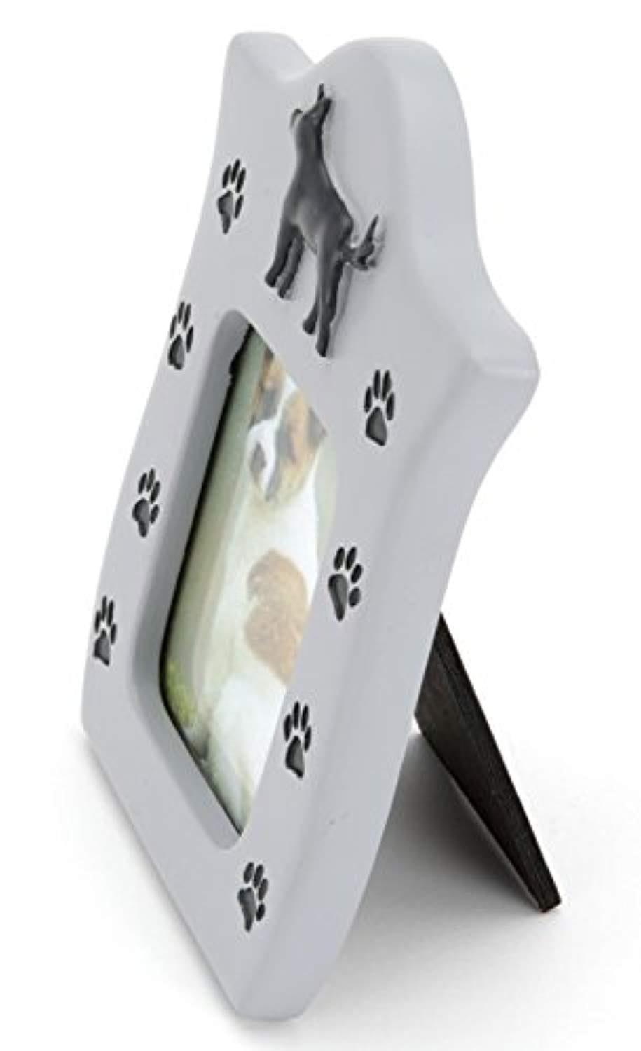 Urne Funéraire Pour Cendres De Chien - One PETS-TOP