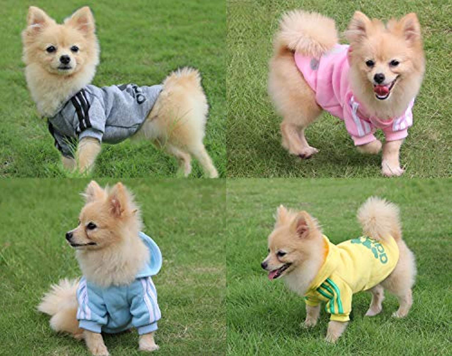 Vêtements Pour Animaux, Adidog Chien Chat À Capuche Vêtements Chiot Pull Chaud À Capuche Chaud Qicheng & Lys (Gris, L) - One PETS-TOP