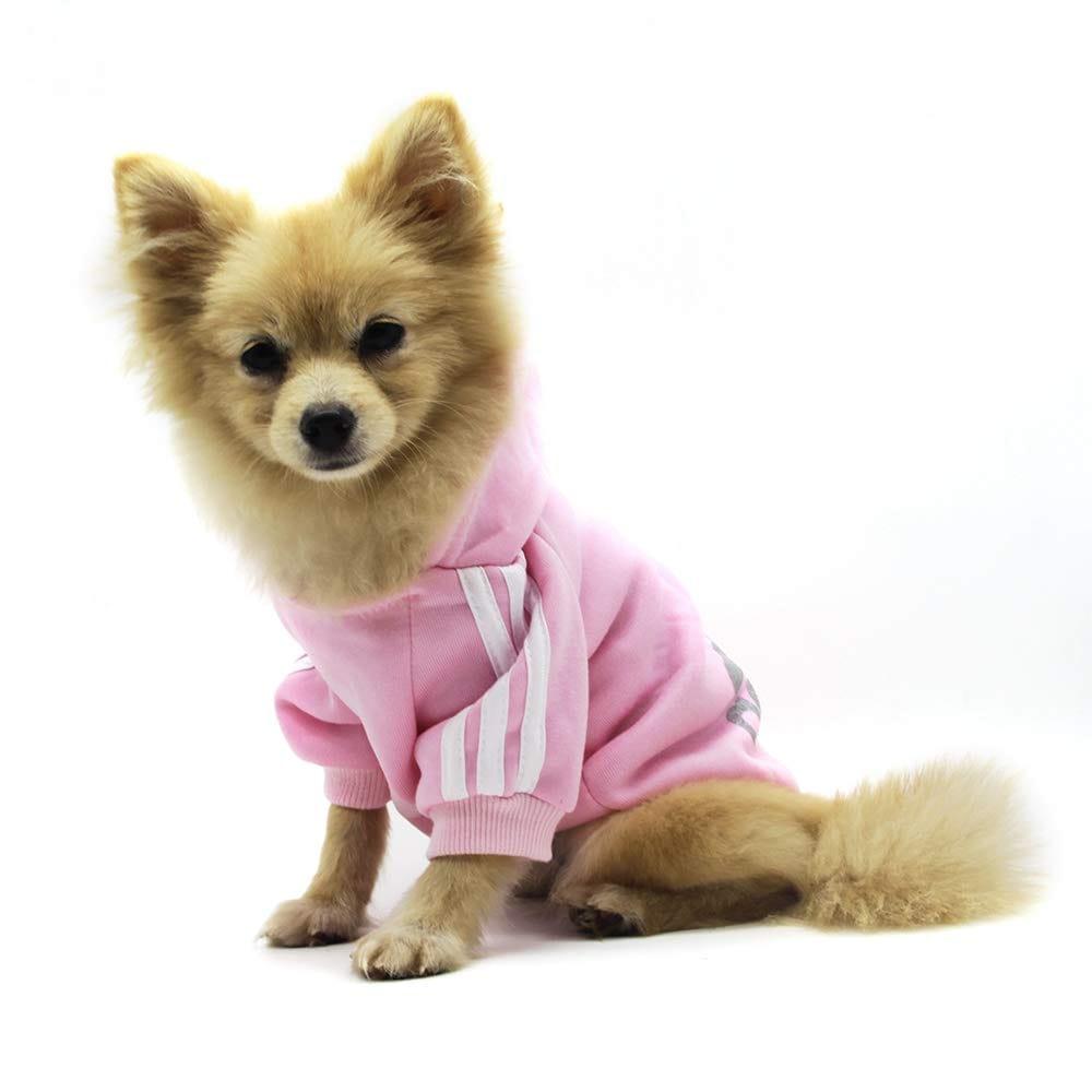 Vêtements Pour Animaux, Adidog Chien Chat À Capuche Vêtements Chiot Pull Chaud À Capuche Chaud Qicheng & Lys (Gris, L) - One PETS-TOP