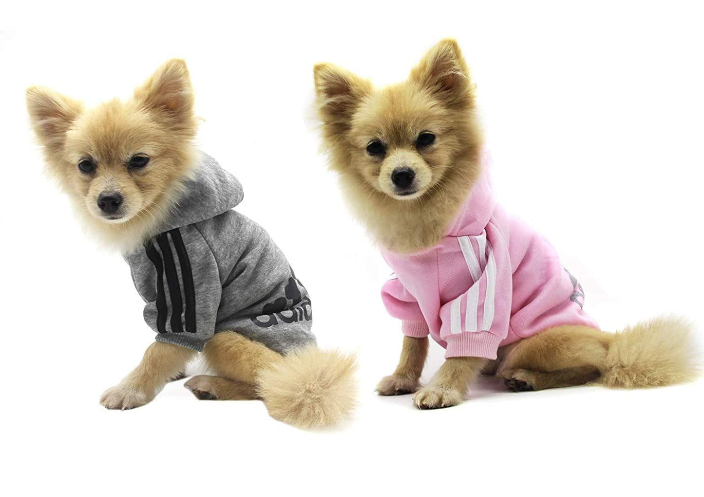 Vêtements Pour Animaux, Adidog Chien Chat À Capuche Vêtements Chiot Pull Chaud À Capuche Chaud Qicheng & Lys (Gris, L) - One PETS-TOP