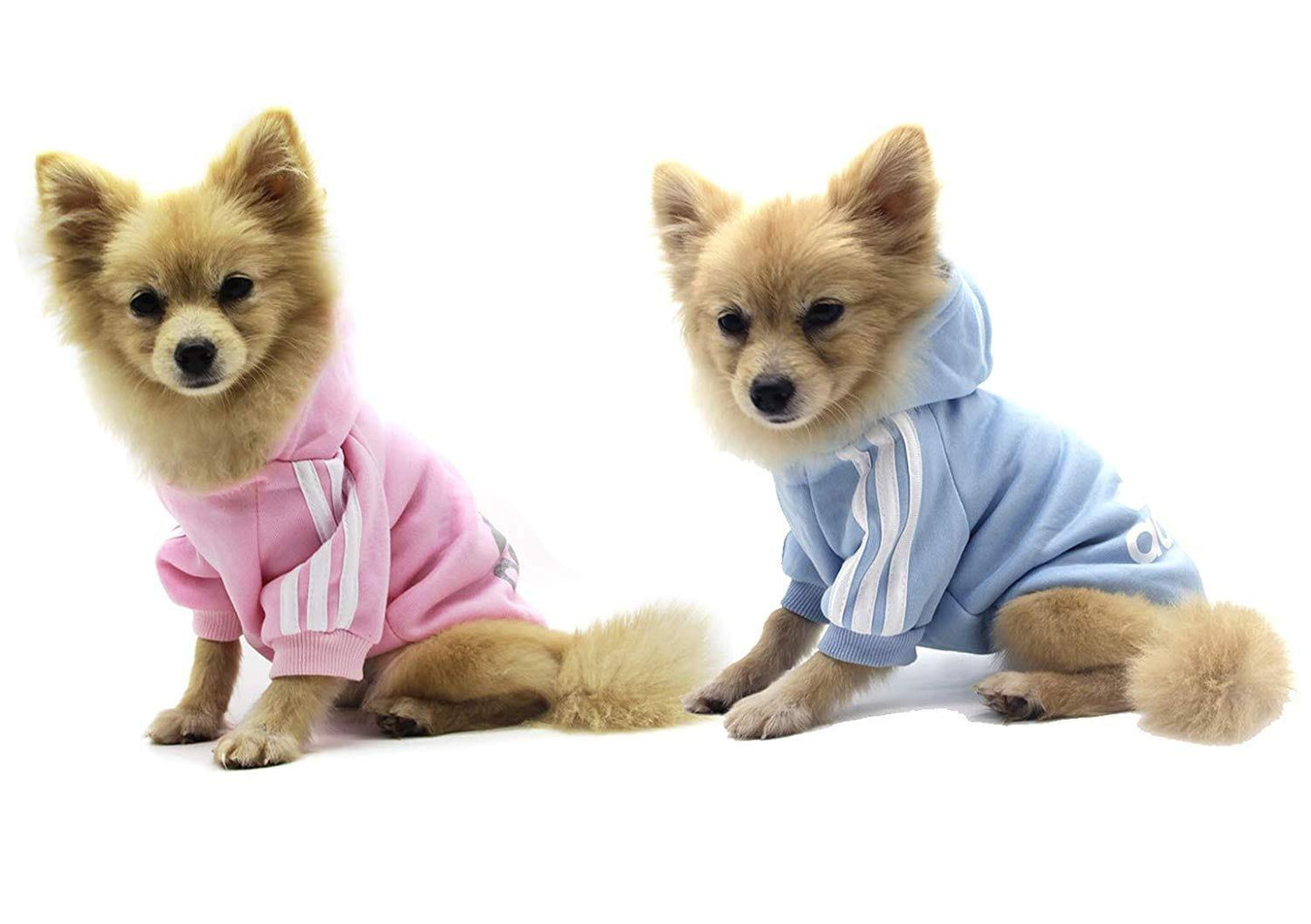 Vêtements Pour Animaux, Adidog Chien Chat À Capuche Vêtements Chiot Pull Chaud À Capuche Chaud Qicheng & Lys (Gris, L) - One PETS-TOP