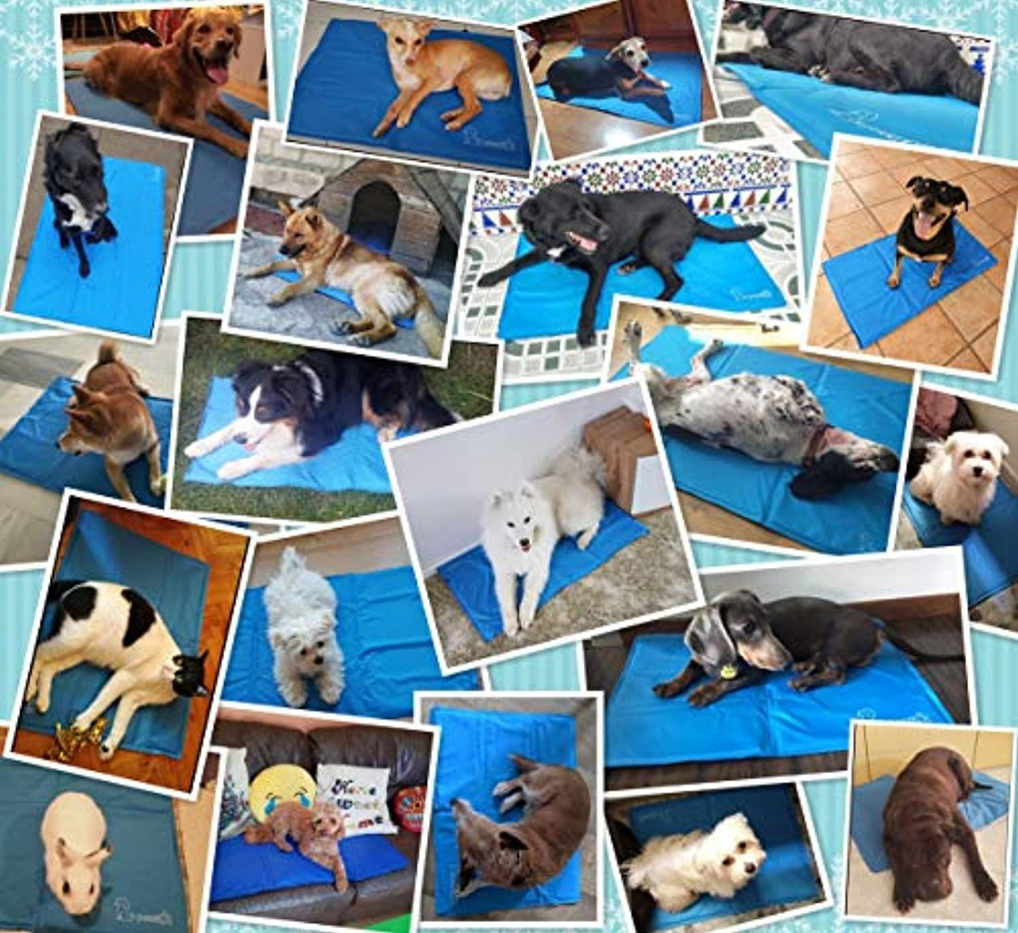 Tapis Rafraichissant Chien Plus Durable Mise A Niveau Tissu Oxford+Pvc D'Epaisseur 0.4Mm Tapis De Refroidissement Automatique Pour Animaux De Compagnie 50*65cm One PETS-TOP