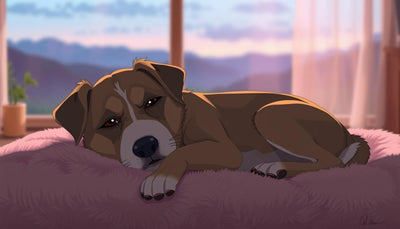 douleur articulaire chien