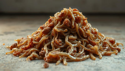 glaire dans les selles du chien