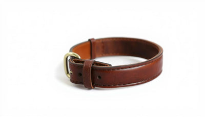 collier en cuir pour chien