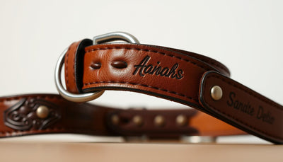 collier personnalisé pour chien
