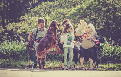 Chien idéal pour mamie - One PETS-TOP
