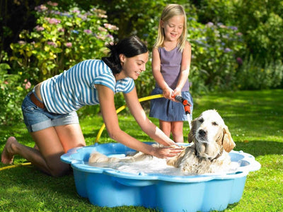 Comment bien laver son chien ?