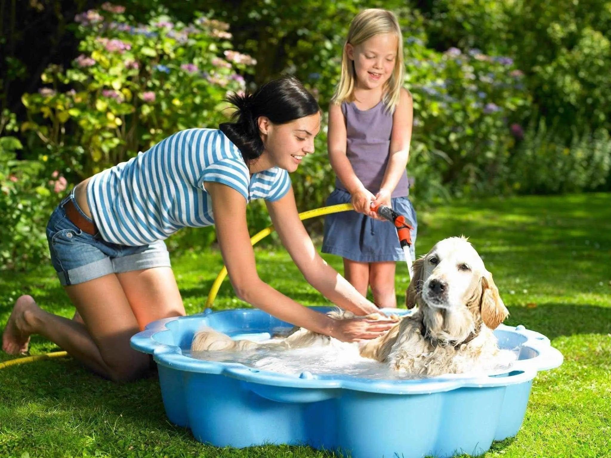 Comment bien laver son chien ?