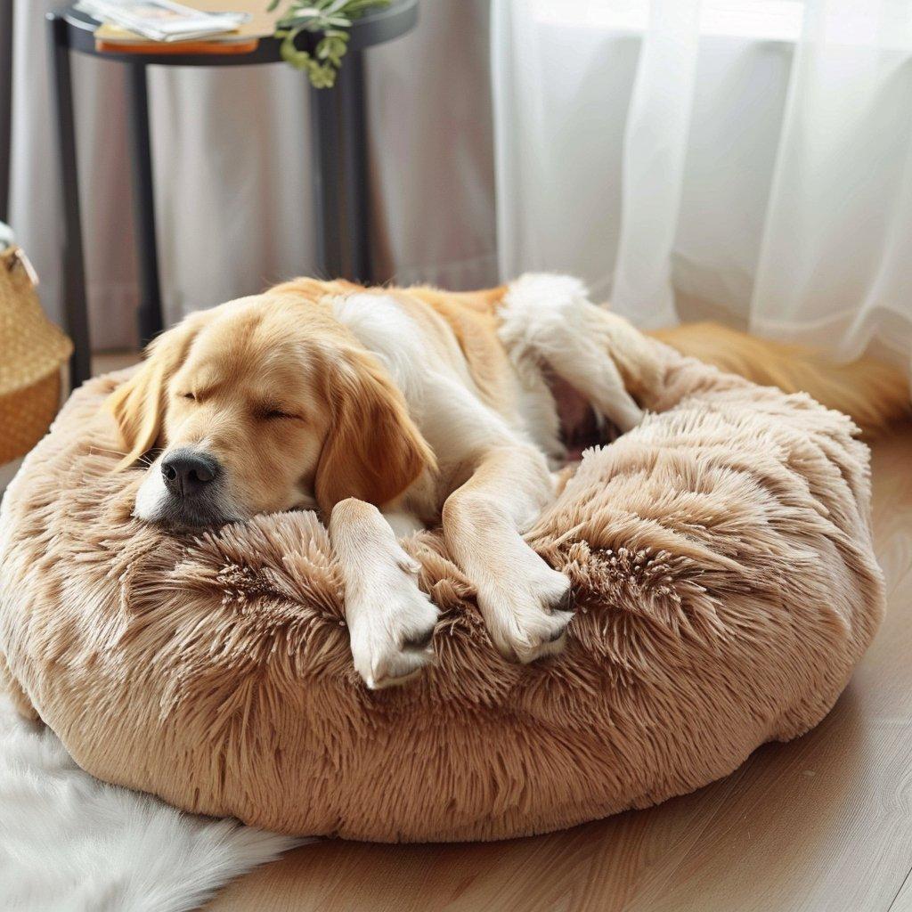 Coussin Déhoussable pour Chien: Confort Durable