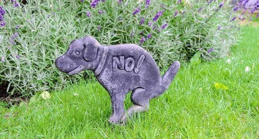 L’apprentissage de la propreté chez le chiot