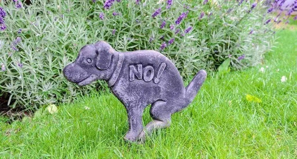 L’apprentissage de la propreté chez le chiot