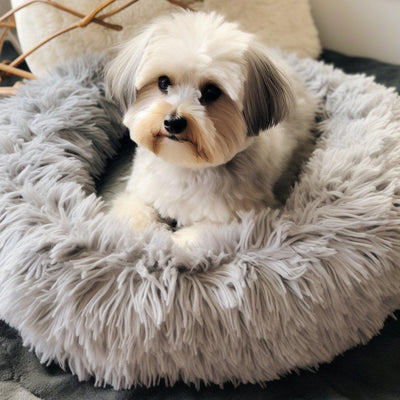 Le Coussin Apaisant pour Chien : Un Refuge Doux et Confortable - One PETS-TOP