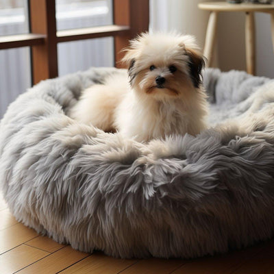 Le Meilleur Coussin Anti-Stress pour Chien : Offrez à Votre Compagnon à Quatre Pattes le Confort qu'il Mérite - One PETS-TOP
