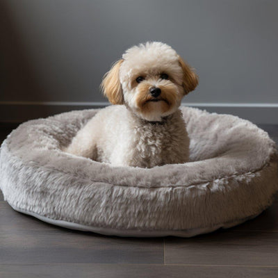 Le Meilleur Coussin pour Chien : Offrez à Votre Compagnon à Quatre Pattes le Confort Qu'il Mérite