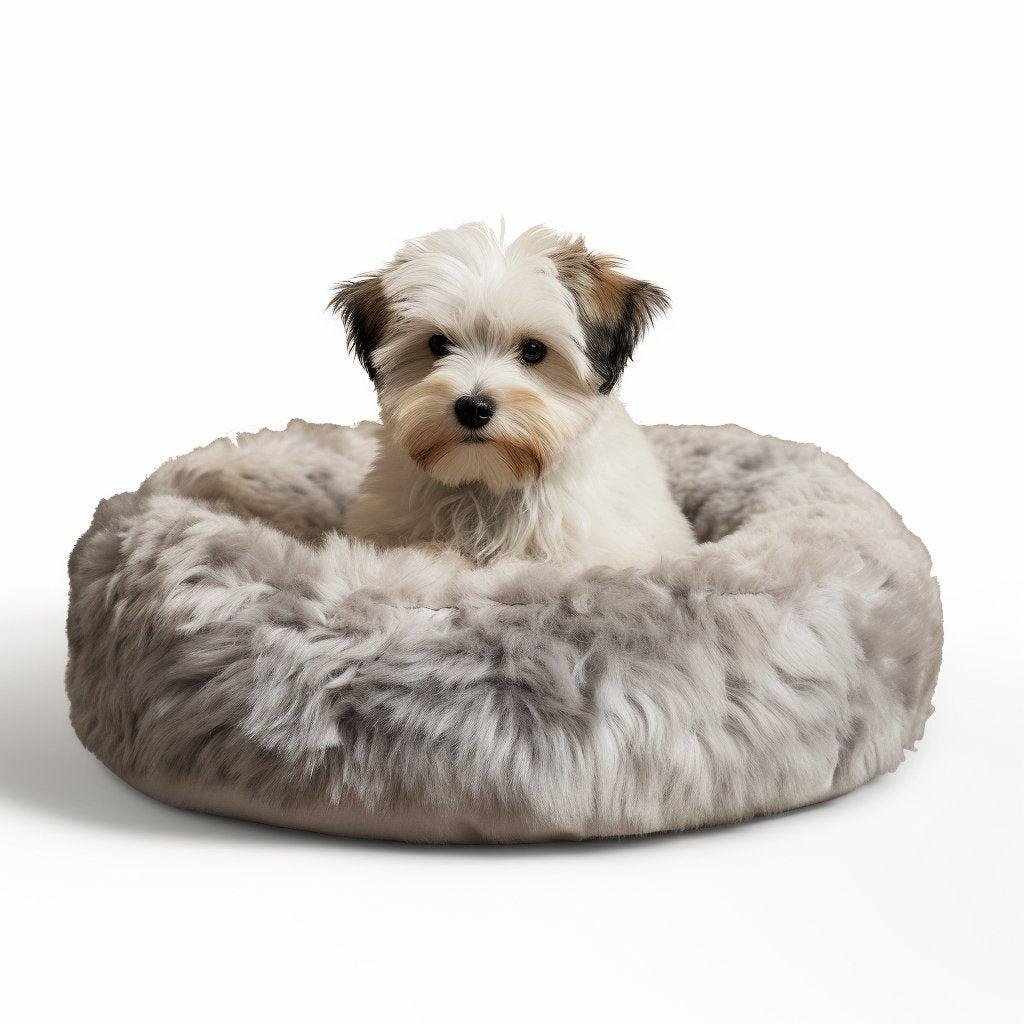 Le Meilleur Coussin pour Chien : Offrez à Votre Compagnon à Quatre Pattes un Confort Inégalé - One PETS-TOP