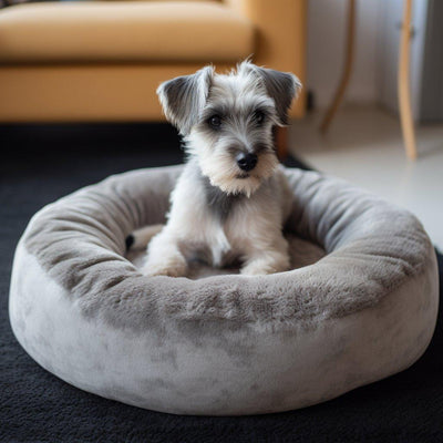 Le Meilleur Coussin pour Chien : Offrez un Confort Optimal à Votre Fidèle Compagnon - One PETS-TOP