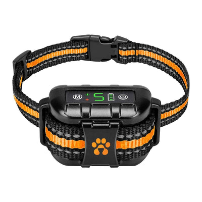 Les 9 meilleurs colliers de dressage pour chiens de 2022 - One PETS-TOP