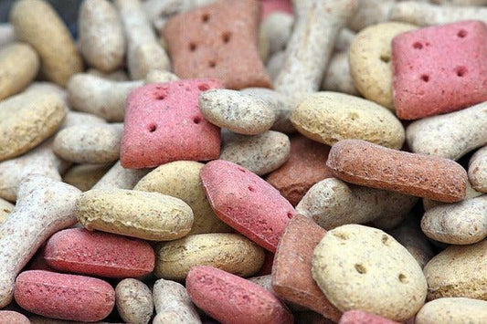 LES ALIMENTS POUR CHIENS, LA TAILLE DE LA CROQUETTE A-T-ELLE DE L'IMPORTANCE ?