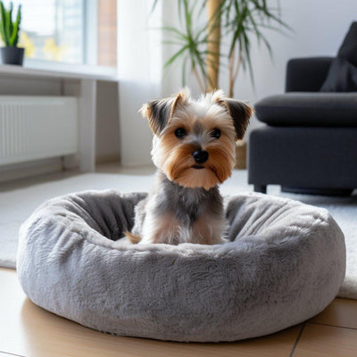Les coussins apaisants pour chien : Le bien-être de votre fidèle compagnon - One PETS-TOP
