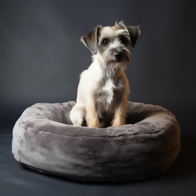 Les Coussins Apaisants pour Chien : Offrez un Confort Inégalé à Votre Compagnon à Quatre Pattes
