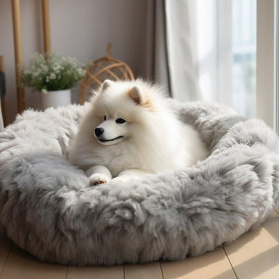 Les Coussins Apaisants pour Chien : Un Réconfort Inégalé - One PETS-TOP