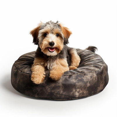 Les coussins relax pour chiens : Le confort ultime pour votre compagnon à quatre pattes - One PETS-TOP