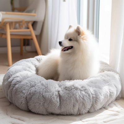 Les meilleurs coussins pour chien : Le confort de votre compagnon à quatre pattes en priorité