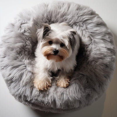 Les Meilleurs Coussins pour Chien : Offrez un Confort Supérieur à Votre Ami à Quatre Pattes - One PETS-TOP