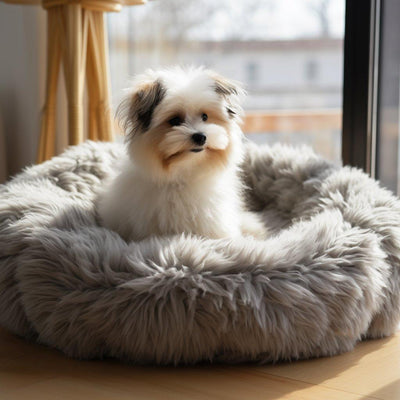 Meilleur Coussin Anti-Stress pour Chien : Votre Guide d'Achat - One PETS-TOP