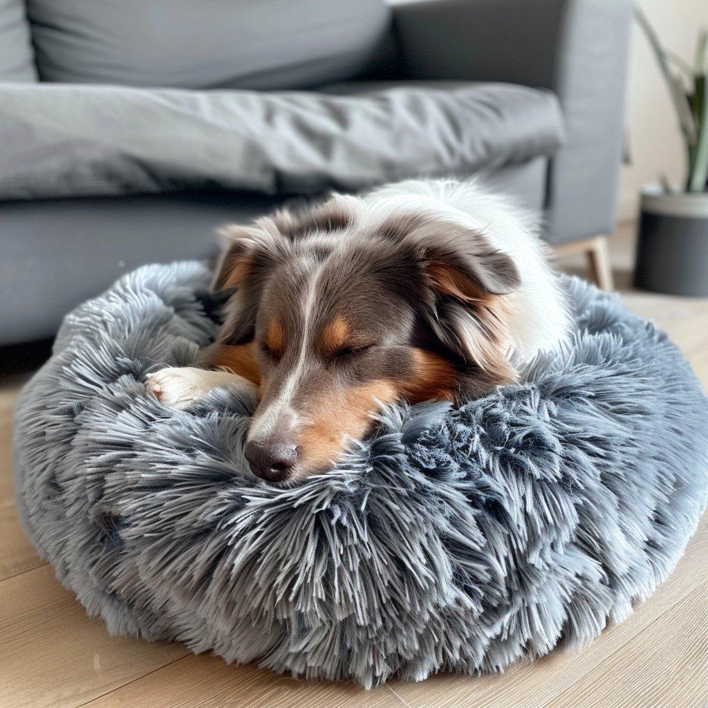 Mon Choix: Coussin Apaisant Chien Déhoussable