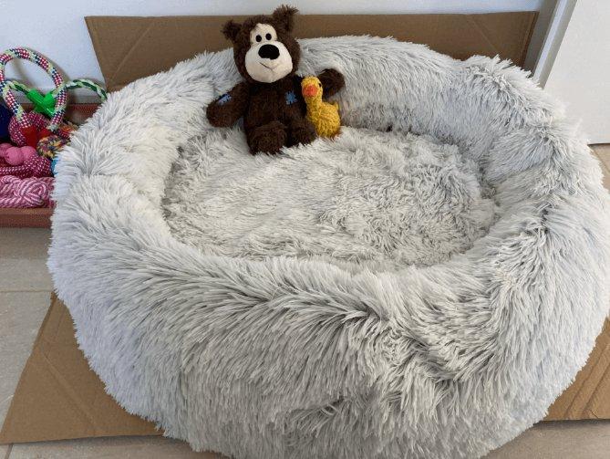 Paniers pour chiens déhoussables : pour un confort optimal pour votre animal de compagnie - One PETS-TOP