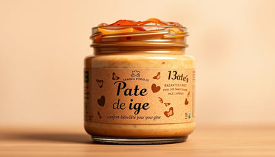 "Pate de chien : confort et bien-être pour votre chien 🐶" - One PETS-TOP