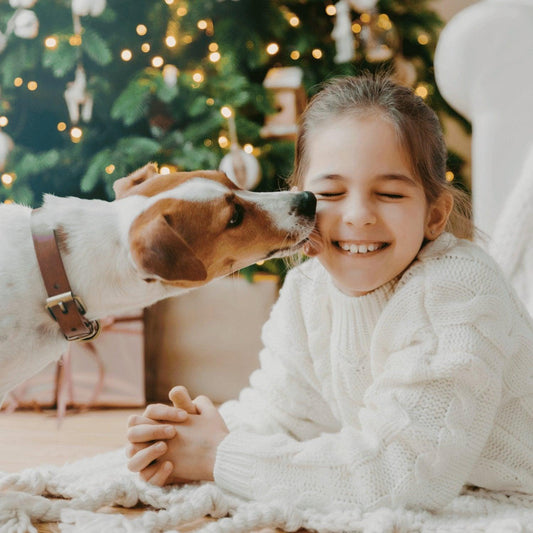 POURQUOI MON CHIEN ME LÈCHE-T-IL ?