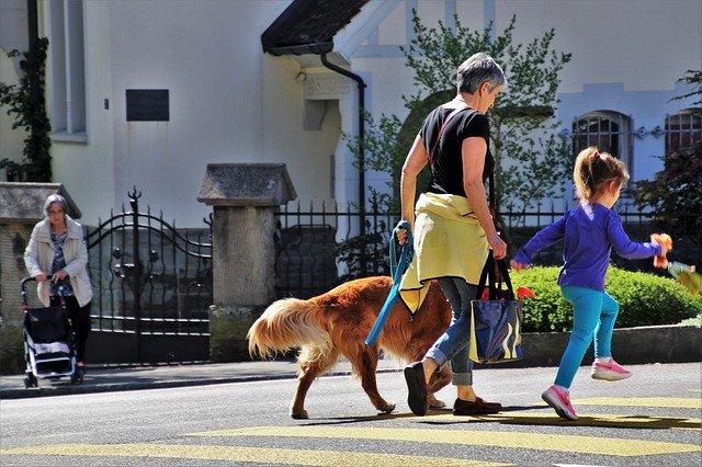 Quel chien choisir quand on a 60 ans ?