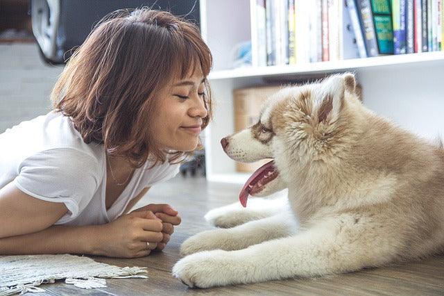 Quel chien pour femme seule ?