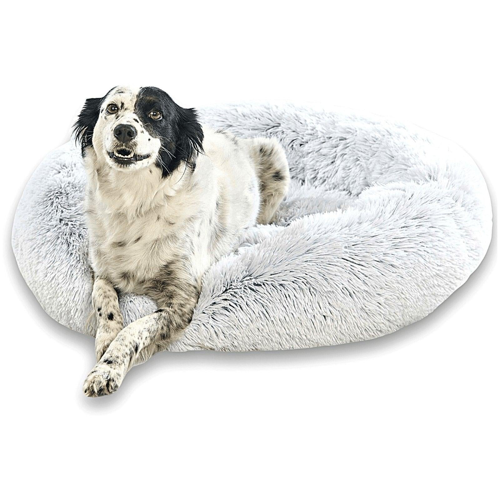 Quel est le meilleur coussin apaisant pour le chien? - One PETS-TOP