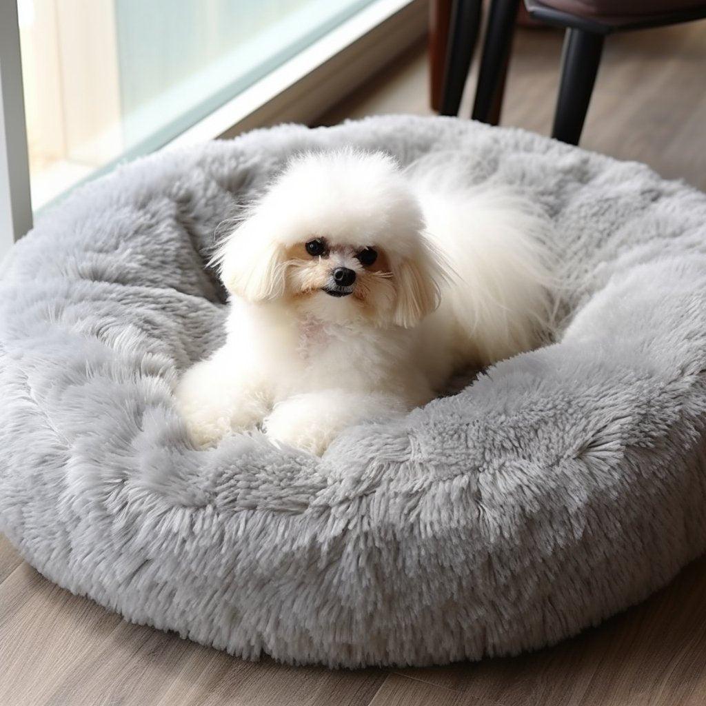 Tout savoir sur les coussins apaisants pour chien - One PETS-TOP
