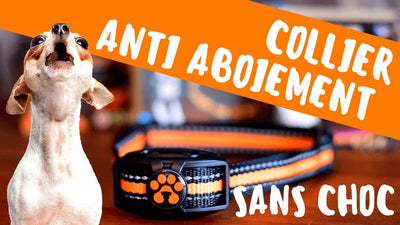 Types de collier anti aboiement
