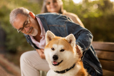 Produits indispensables pour chiens – Confort, soin & plaisir