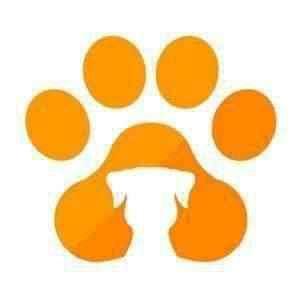 Meilleures Ventes - One PETS-TOP