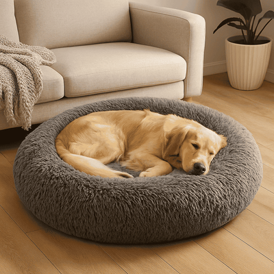 Repos & Détente