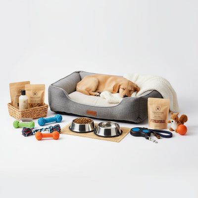 Produits indispensables pour chiens – Confort, soin & plaisir - One PETS-TOP